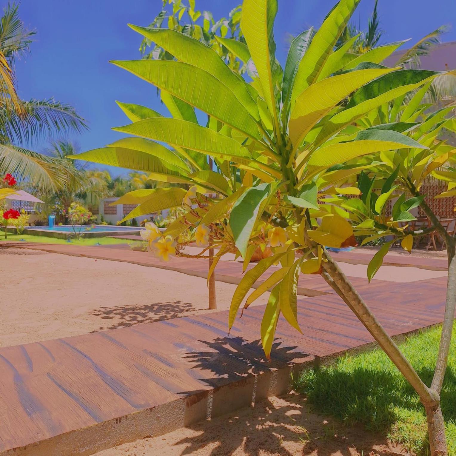 Condominio Shalom Beach カノア・ケブラーダ エクステリア 写真